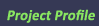 Project Profile